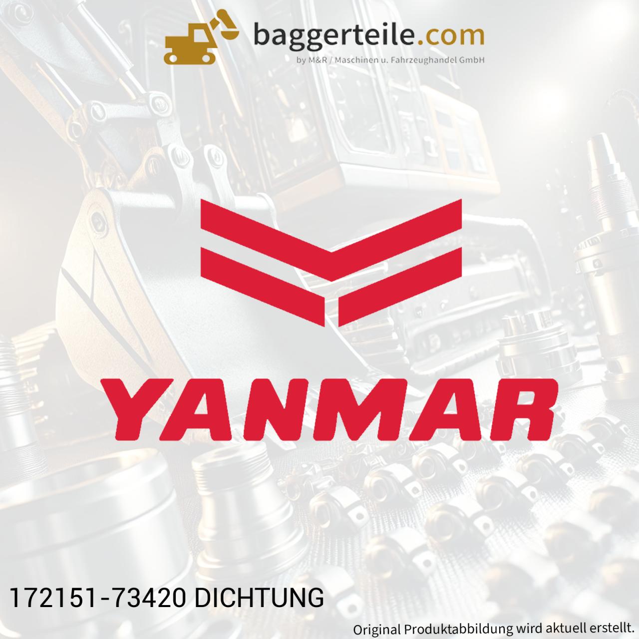 172151-73420 DICHTUNG