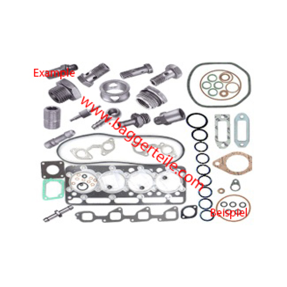 O-Ring 1971956241 für Terex Schaeff