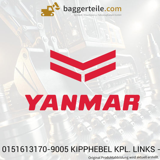 0151613170-9005-kipphebel-kpl-links-schwarz