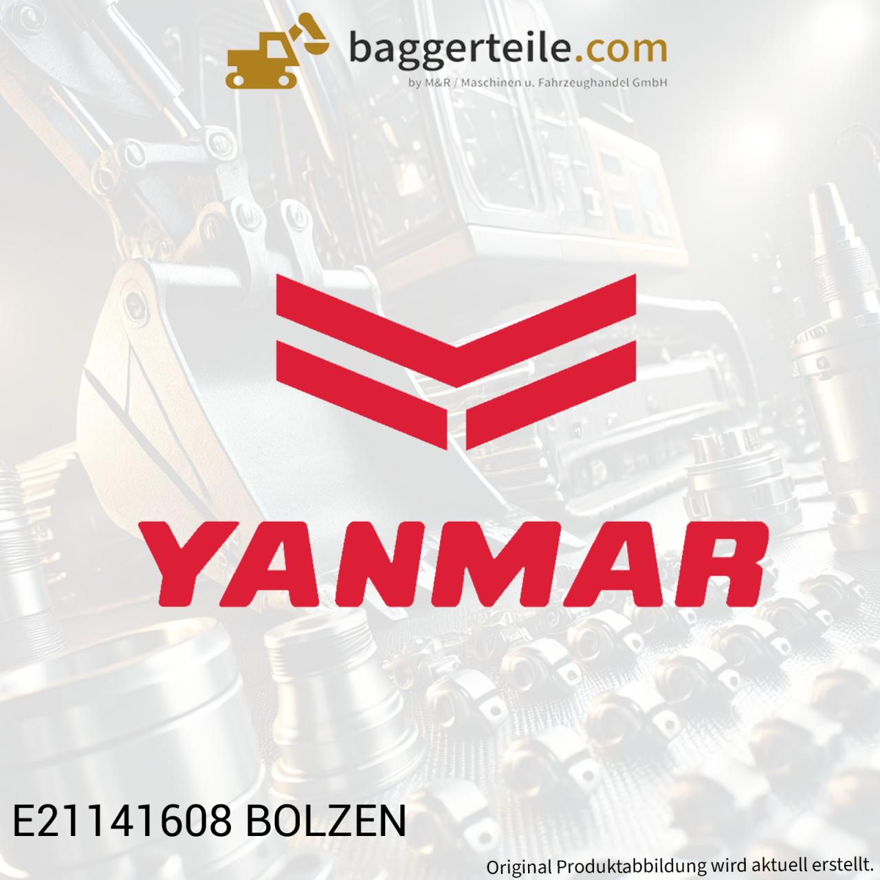 e21141608-bolzen