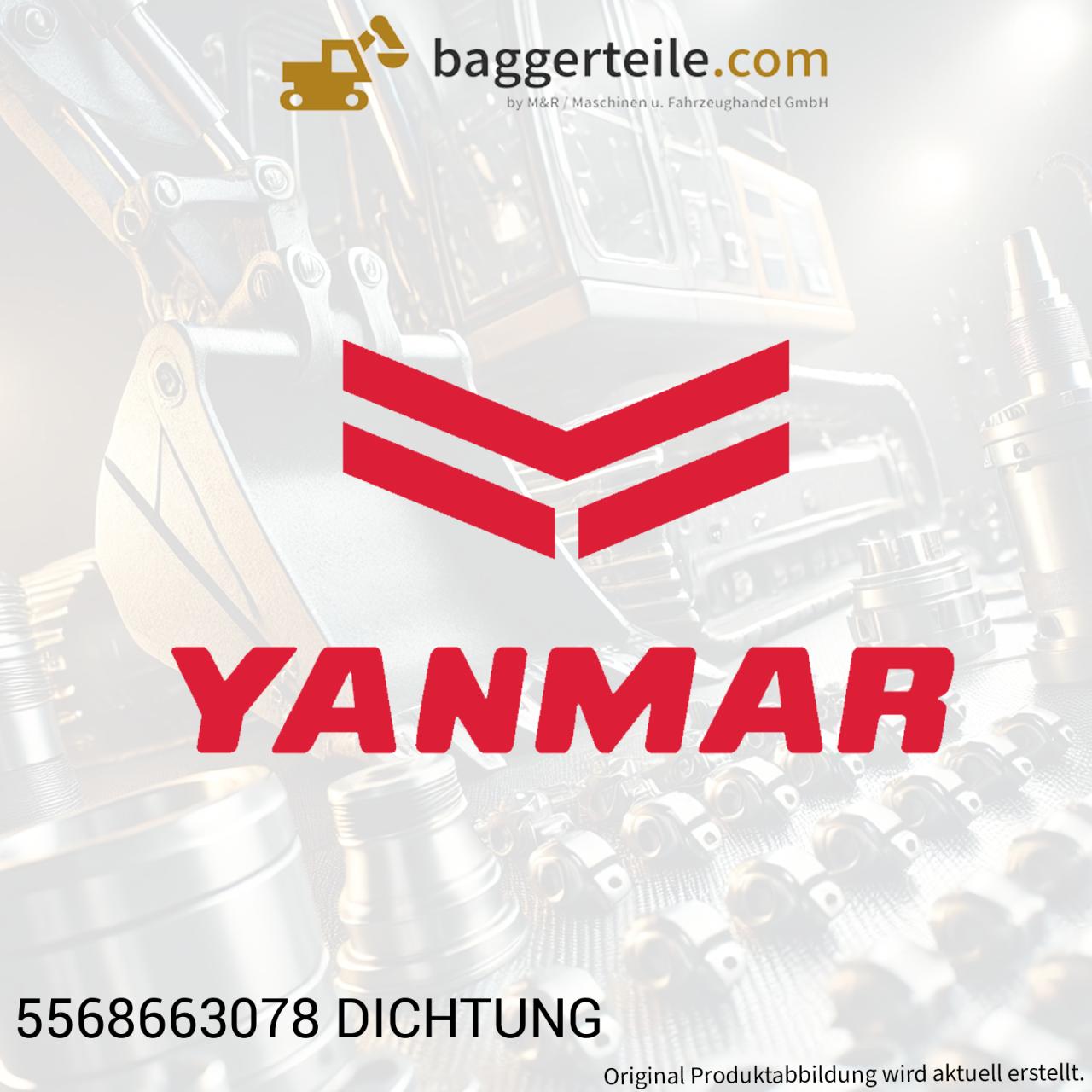 5568663078-dichtung