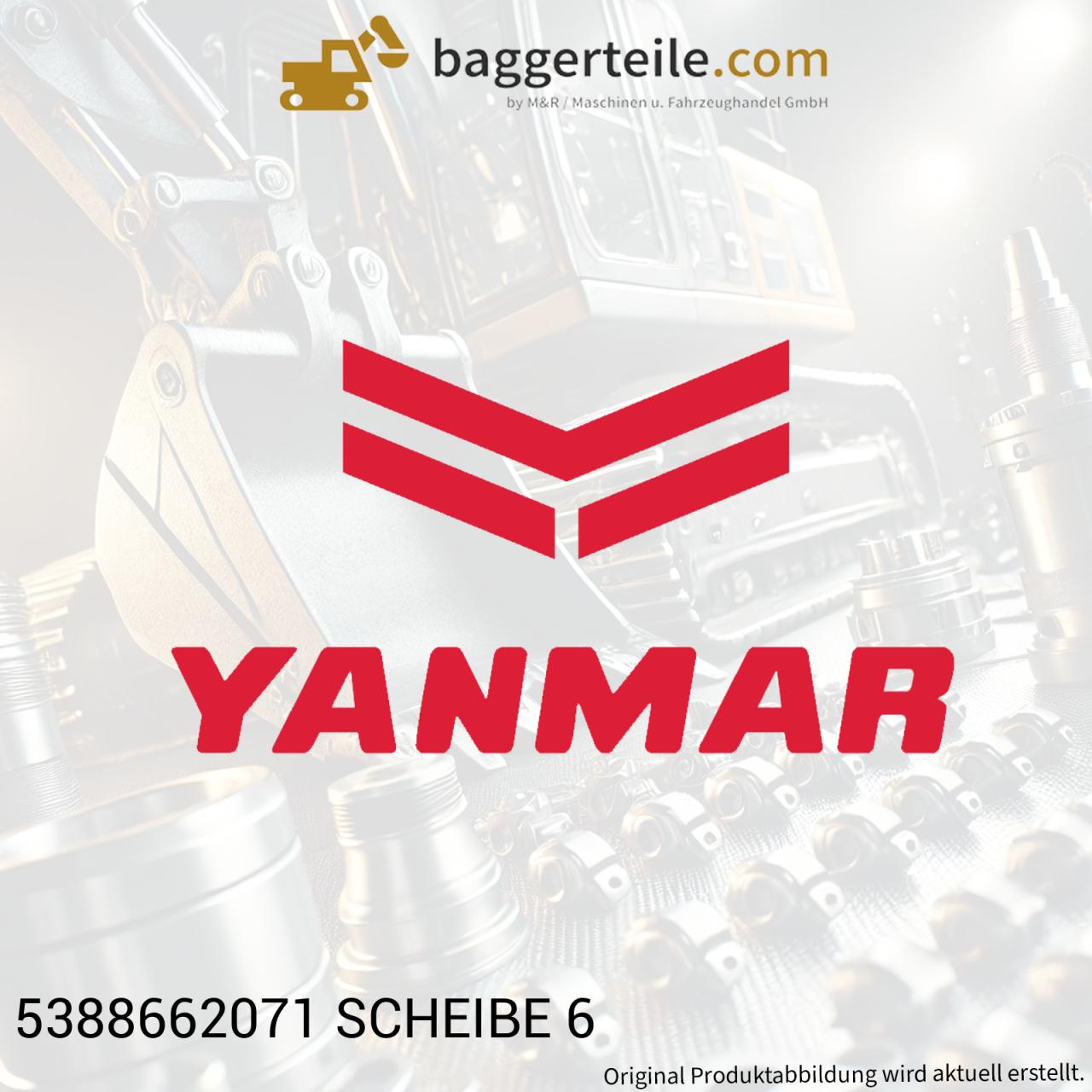5388662071-scheibe-6