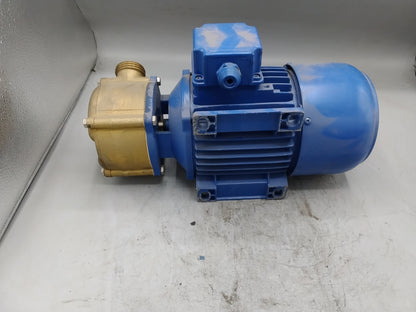 LIVERANI S.r.L. Gleichstrom-Motorpumpe EP25 24Volt - verdreckt