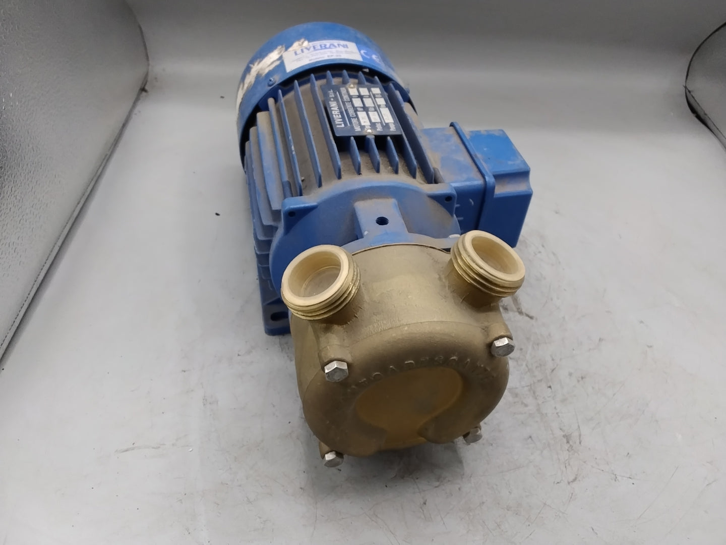 LIVERANI S.r.L. Gleichstrom-Motorpumpe EP25 24Volt - verdreckt