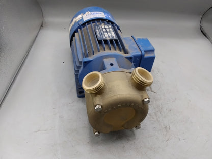 LIVERANI S.r.L. Gleichstrom-Motorpumpe EP25 24Volt - verdreckt
