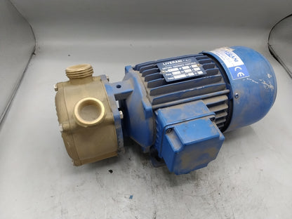 LIVERANI S.r.L. Gleichstrom-Motorpumpe EP25 24Volt - verdreckt